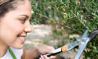 Summer Home Maintenance
