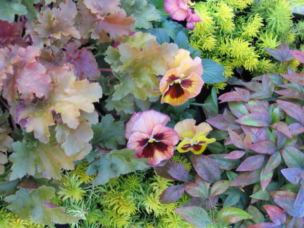 Cape Cod Fall Maintenance