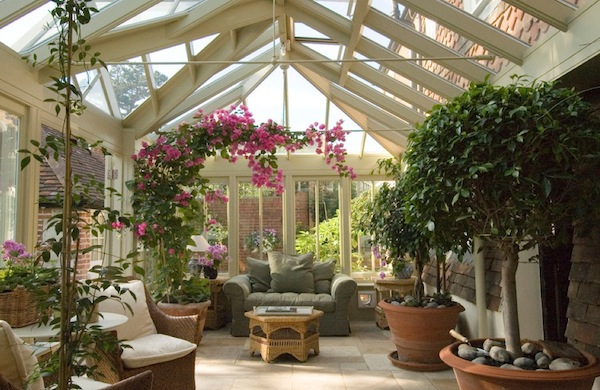 consevatory plants flowers resized 600