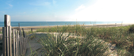 Cape Cod beach