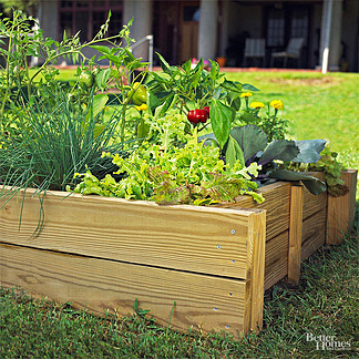 Raised bed garden resized 600