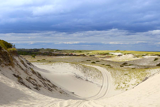 Cape Cod Sand Dunes resized 600