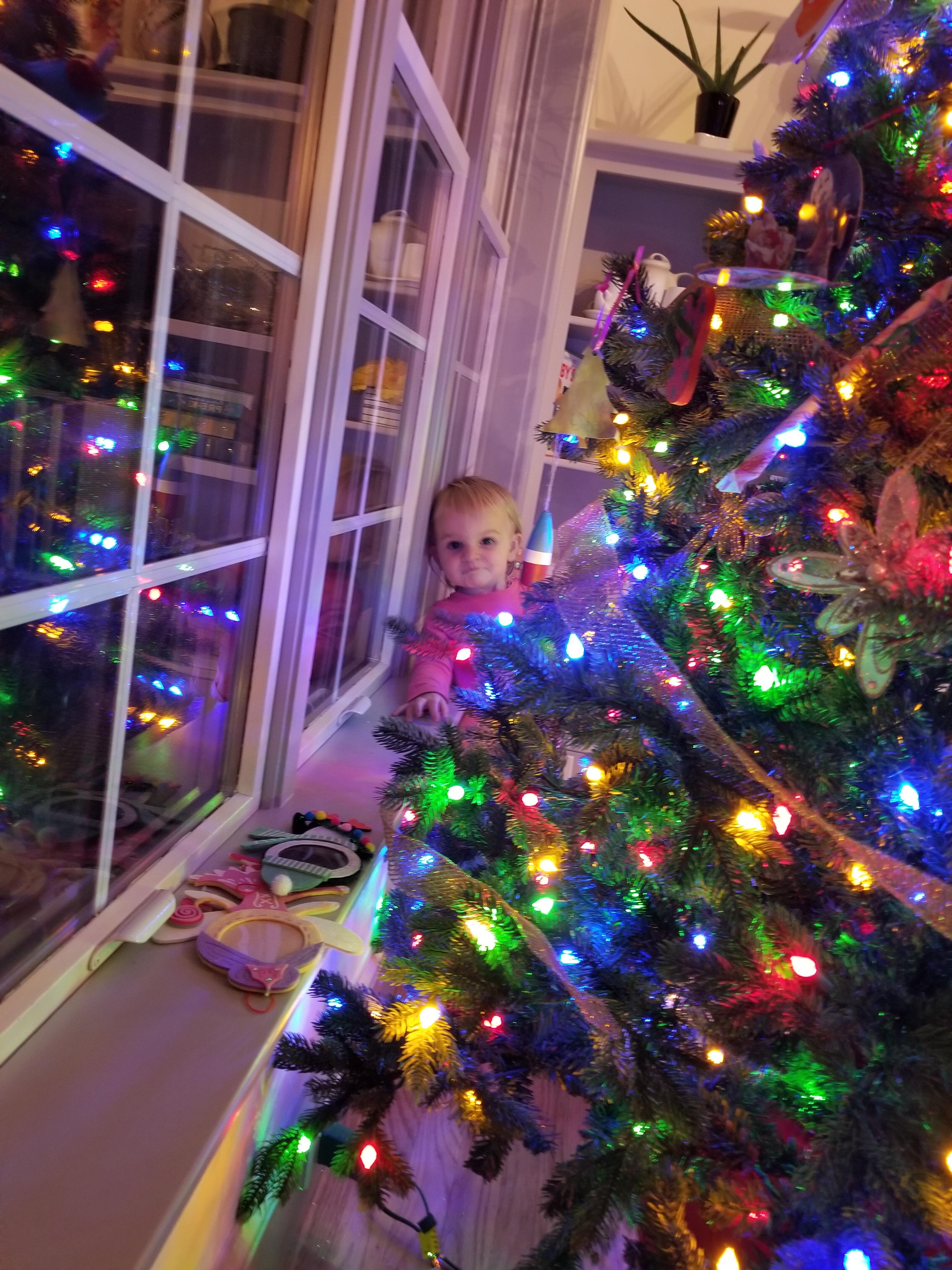 Coastal Christmas Decorating Ideas for your Cape Cod Home