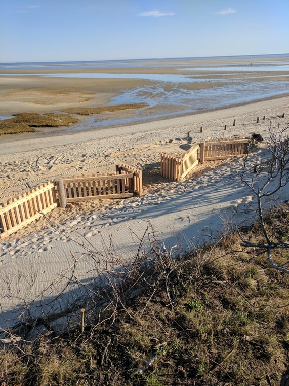 Beach replenishment, Cape Cod, Cape cod builder