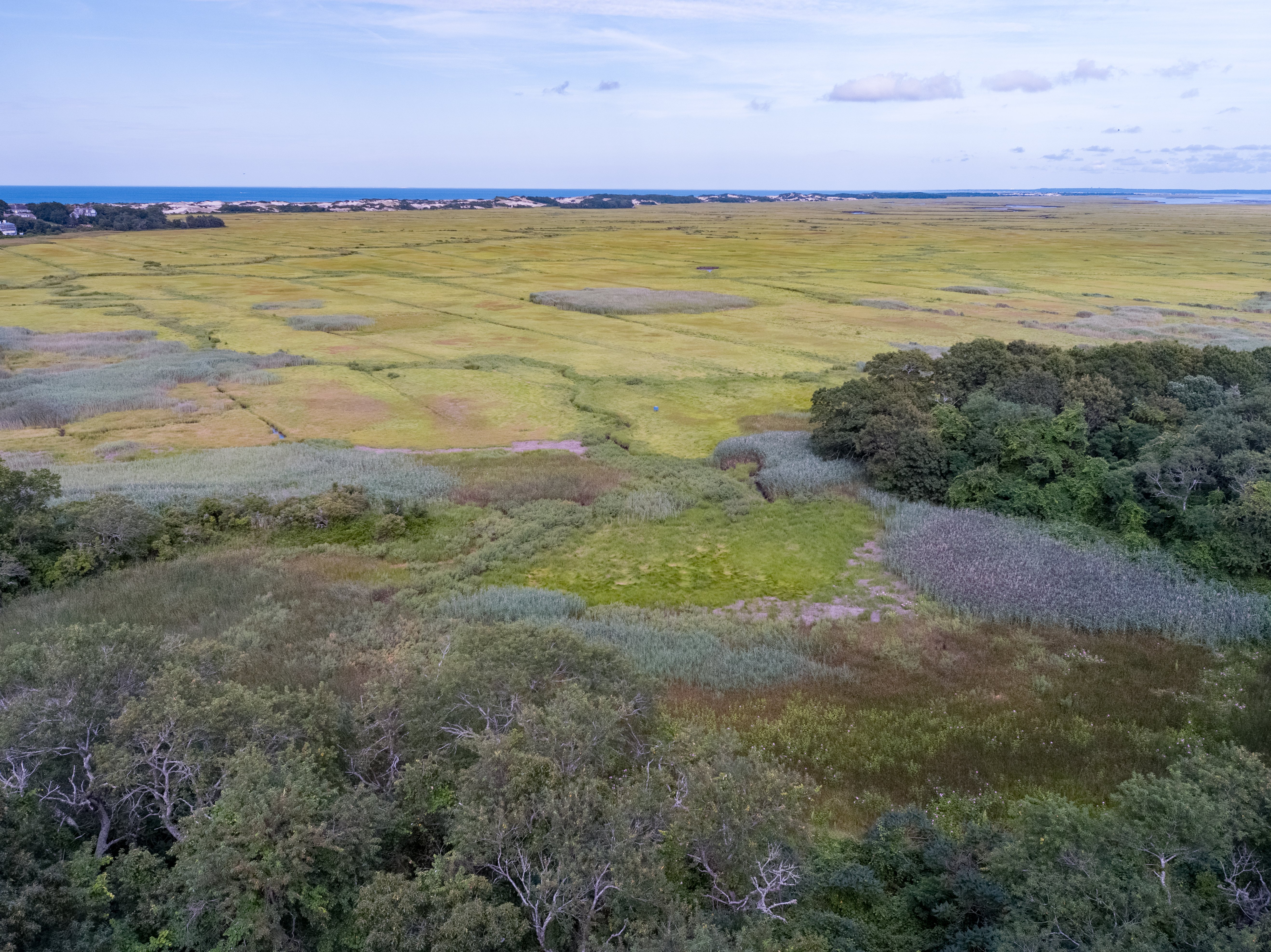 DJI_0051-Jun-02-2025-03-43-21-9603-PM