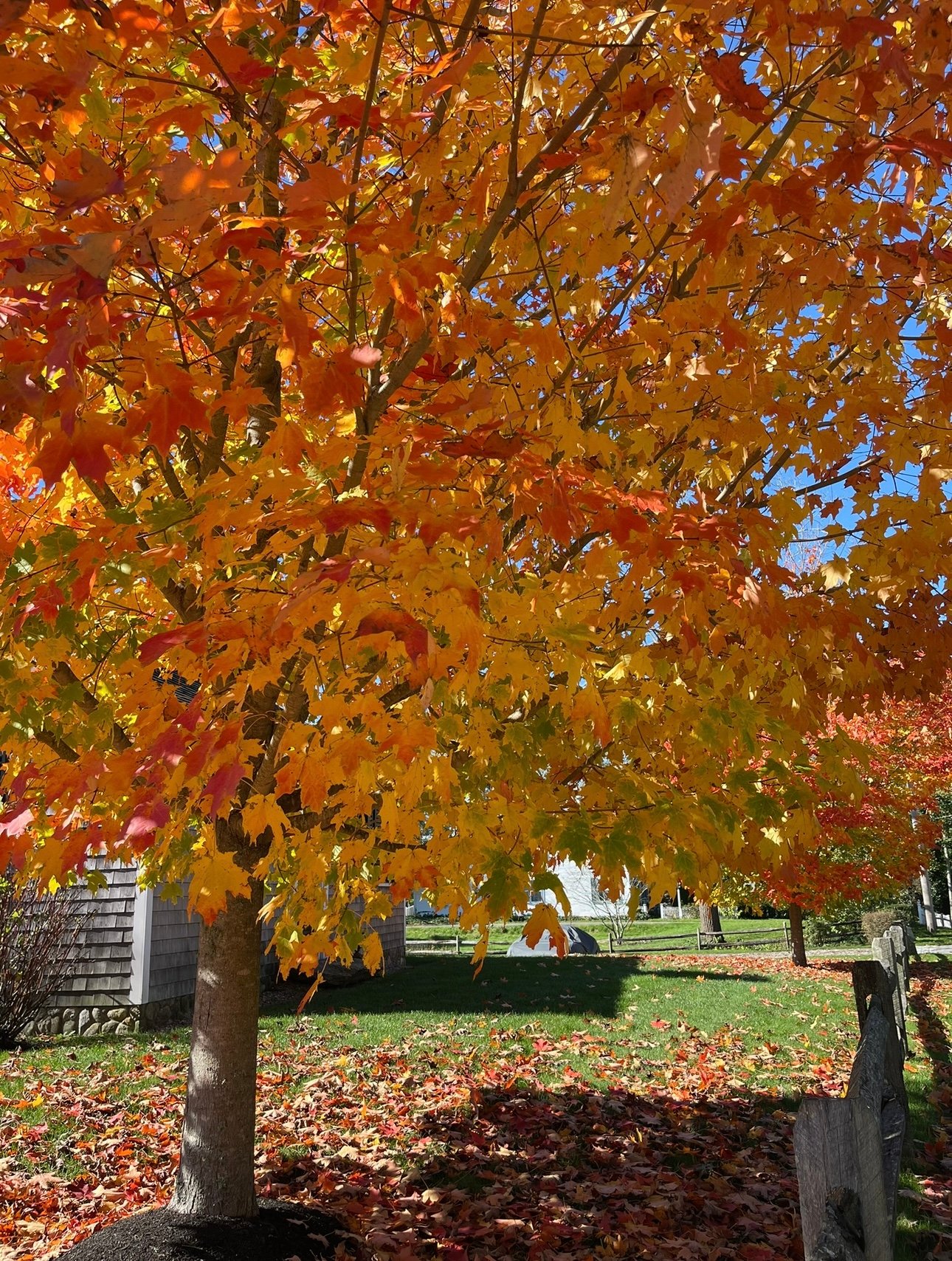 Autumn Bucket List: 10 Amazing Things to Experience on Cape Cod This Fall