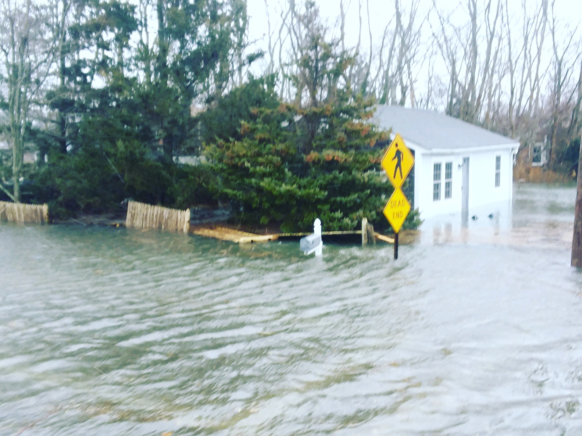 should i rent a home in ae flood zone